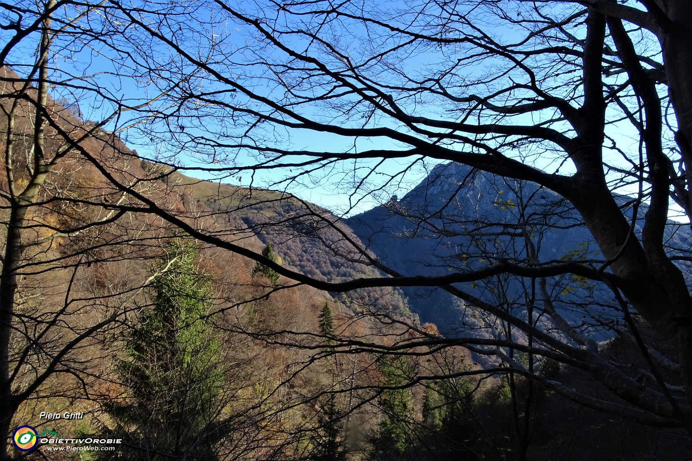 24 Dal grande faggio vista verso il Venturosa.JPG